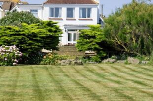 Striped Lawn